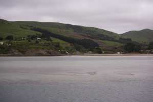 HARINGTON-POINT-DUNEDIN (6)